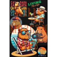 Capibara 2